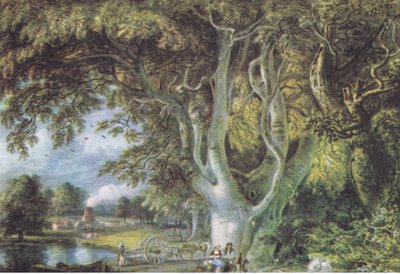 Oak Trees, Shoreham, Kent, Nature in Britain Published by Collins, 1946 by Samuel Palmer